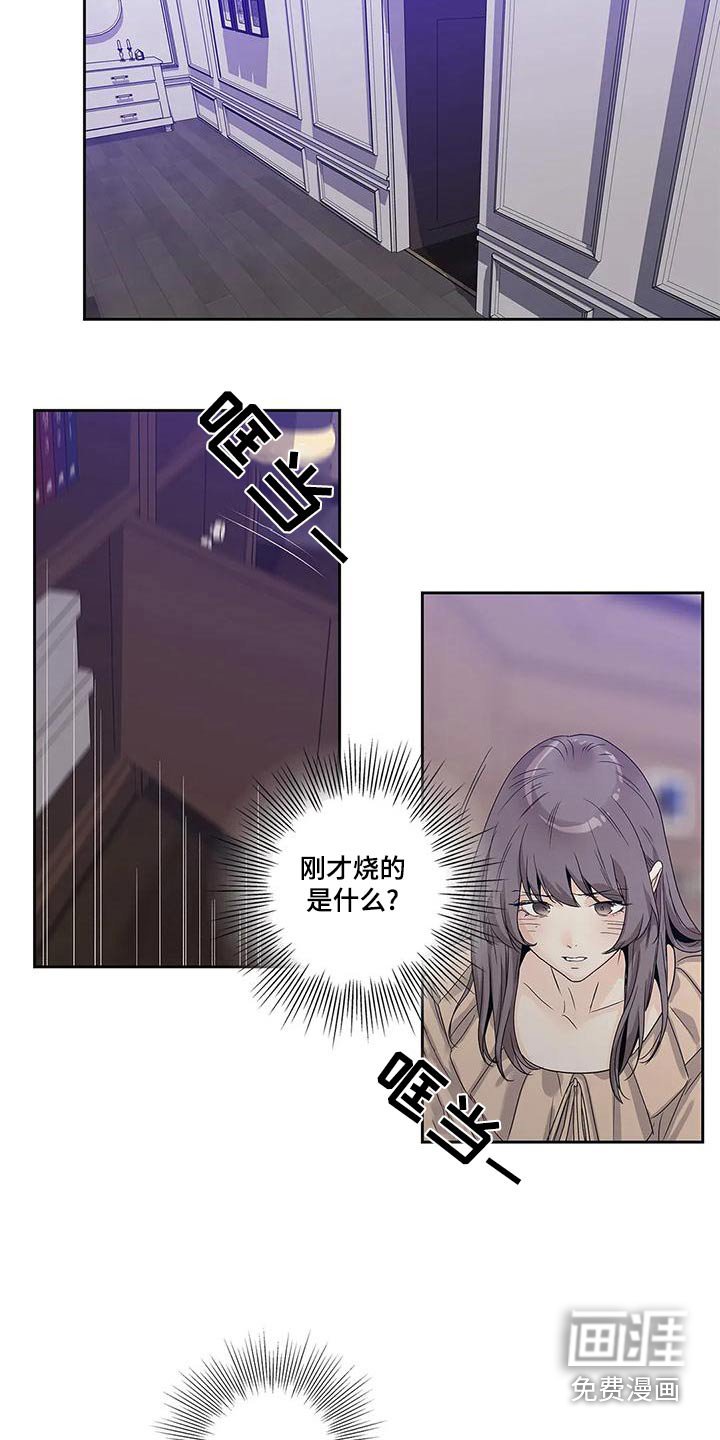 第44章：燃烧的照片