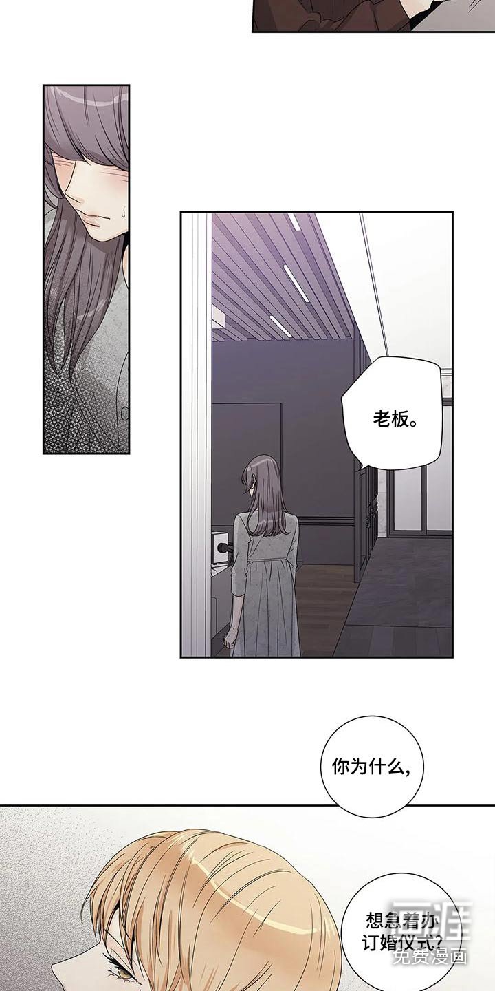 第46章：订婚仪式