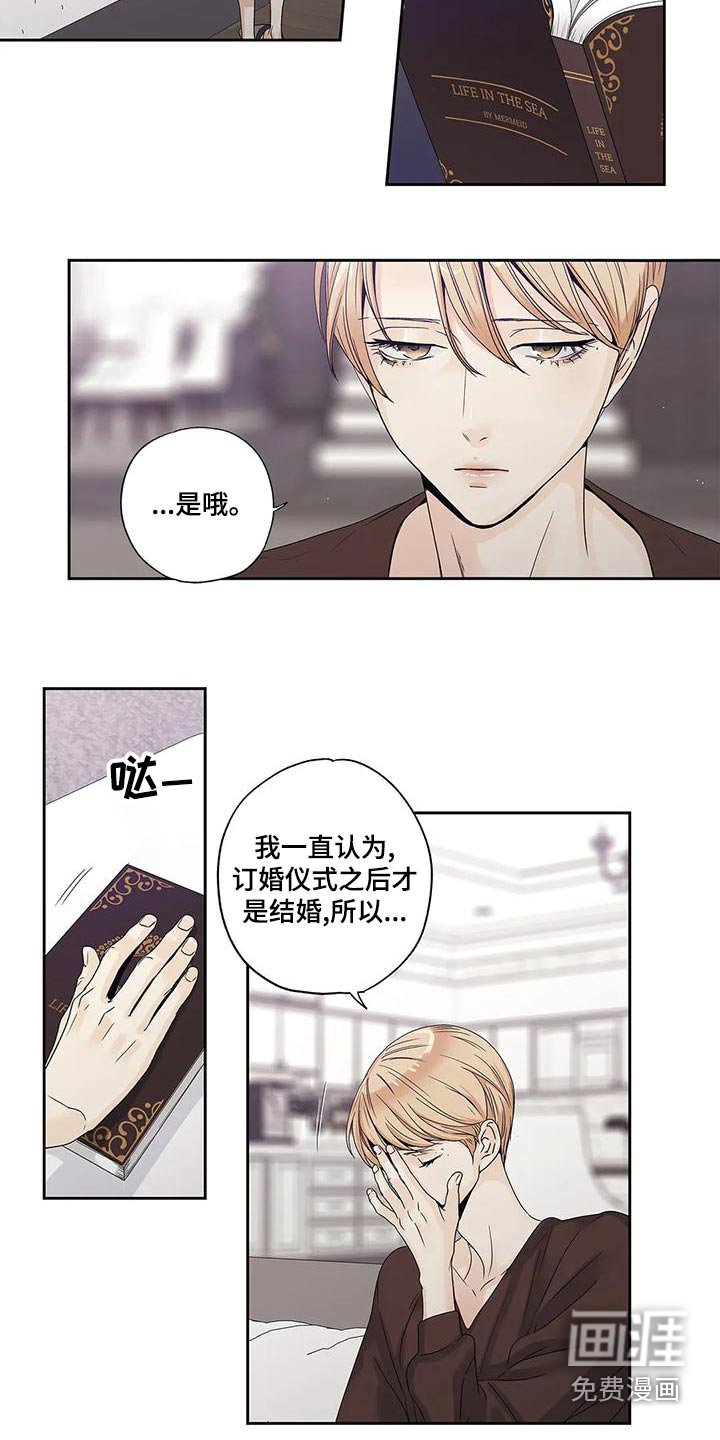 第46章：订婚仪式