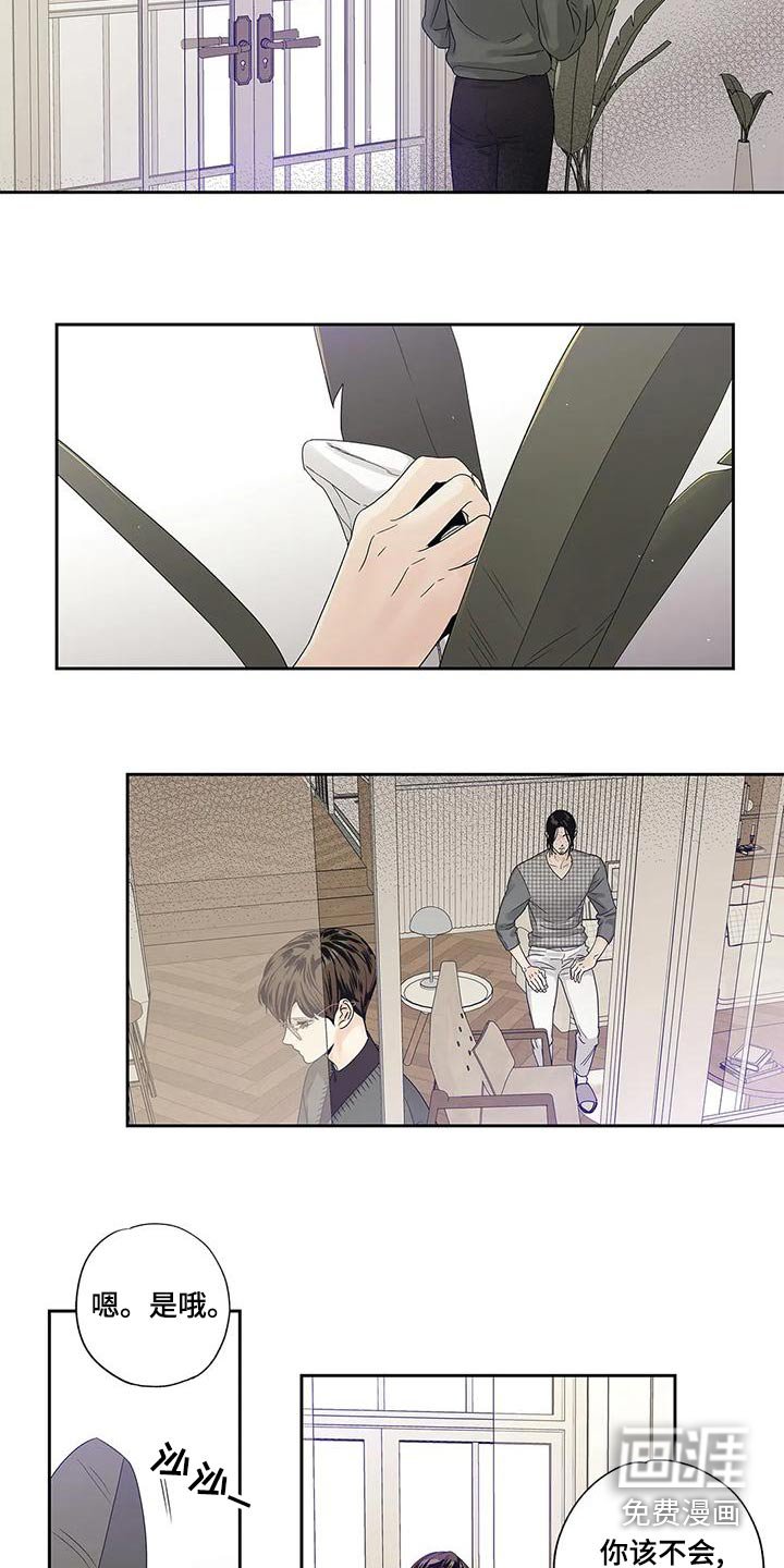 第47章：订婚日