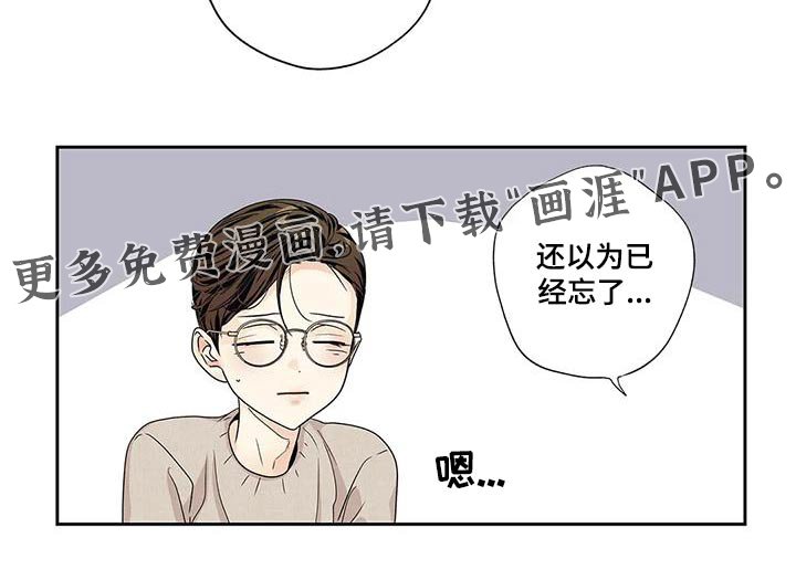 第51章：【番外】以为