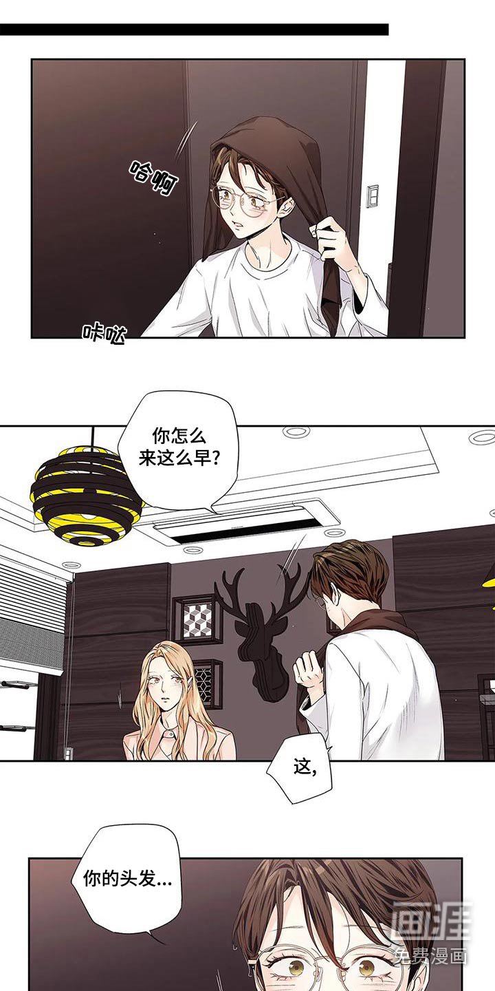 第54章：【番外】查看