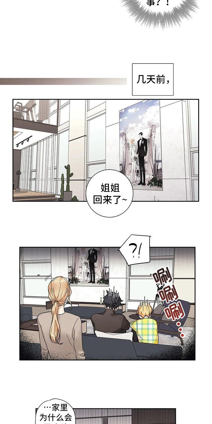 第9章：自由恋爱