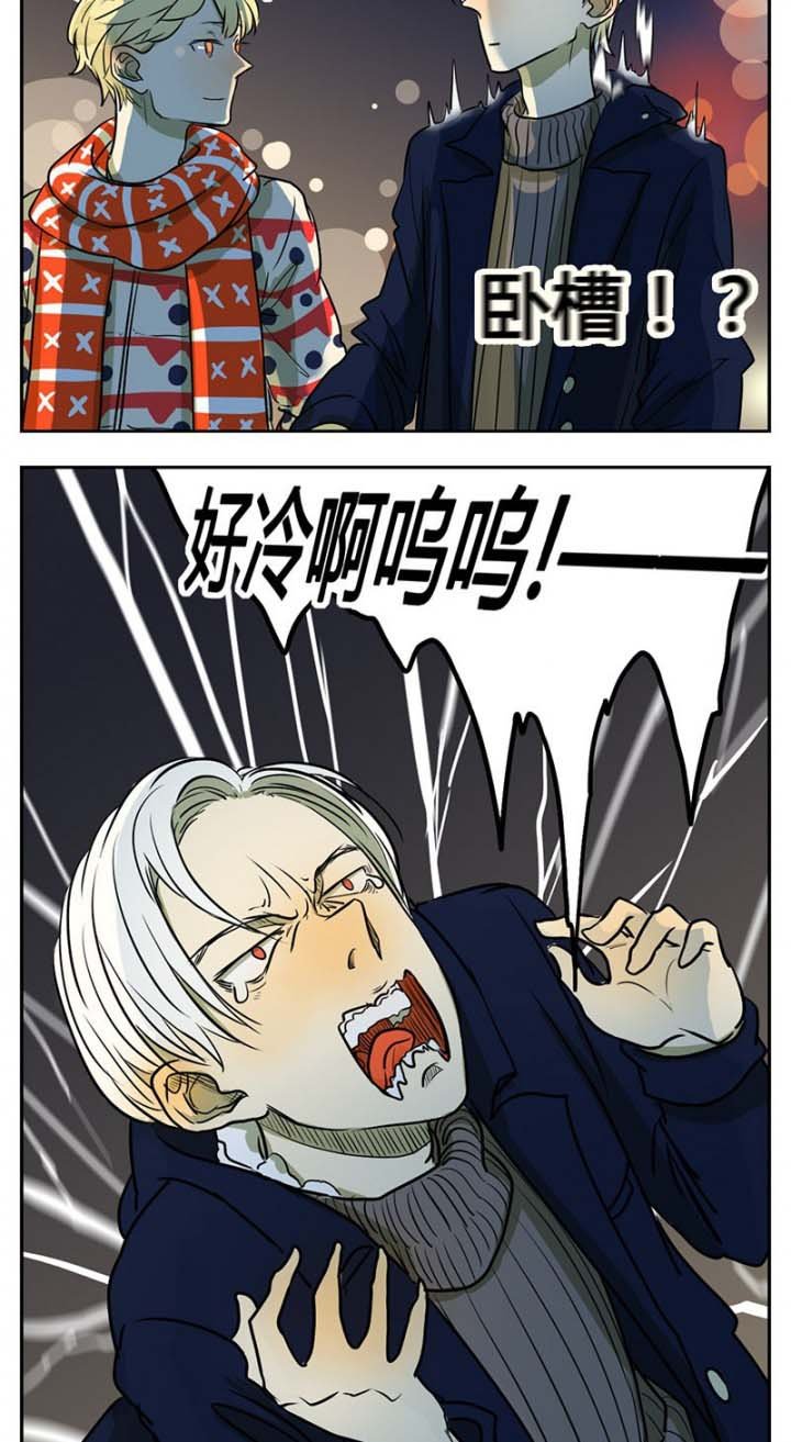 第11章：