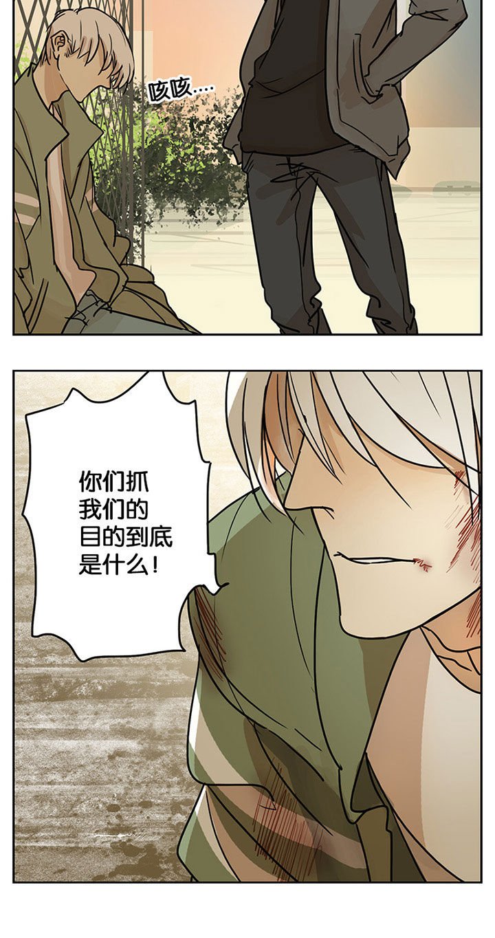 第28章：
