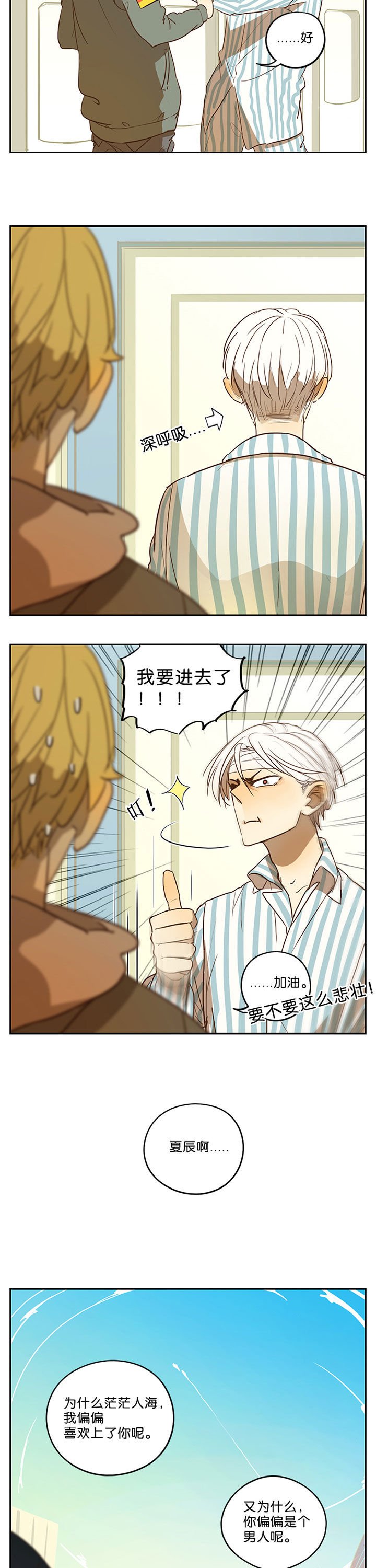 第41章：