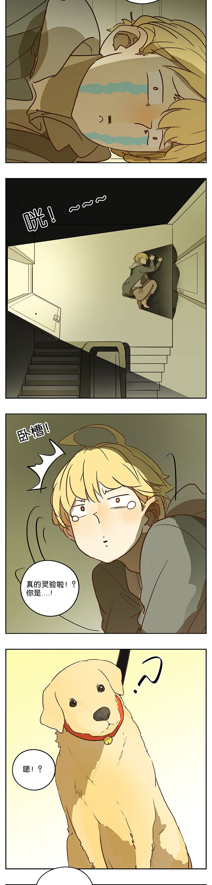 第41章：
