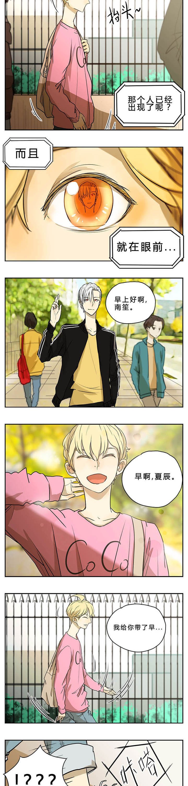 第6章：