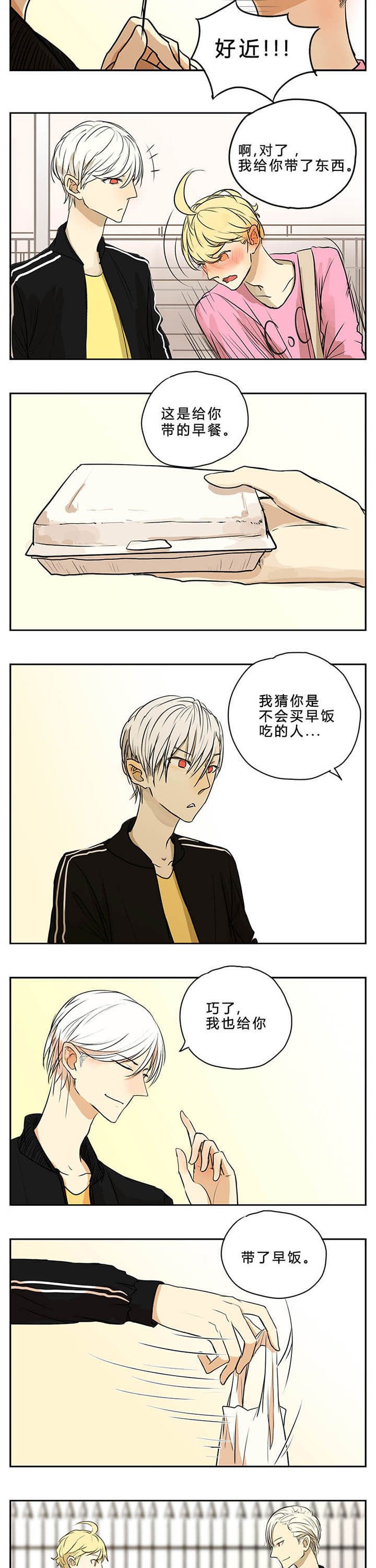 第6章：