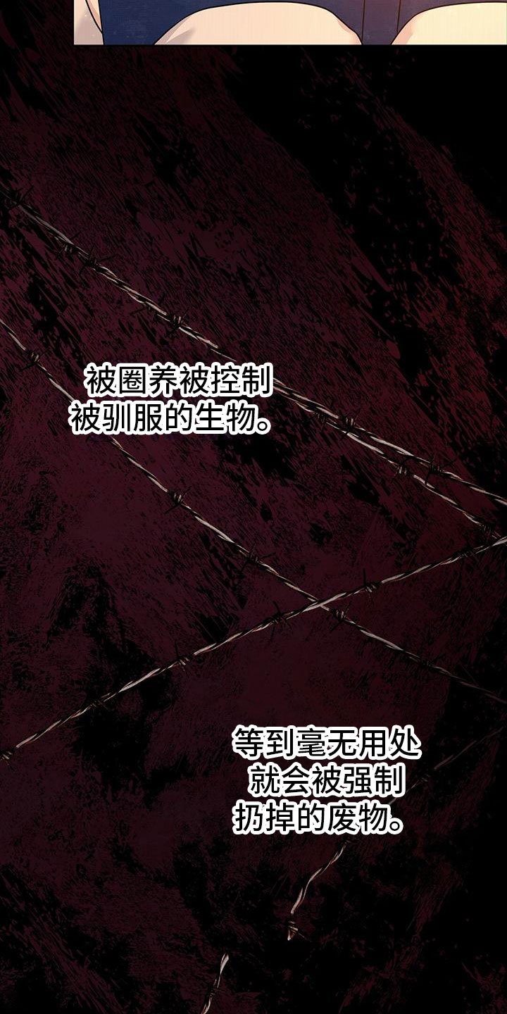 第1章：起点