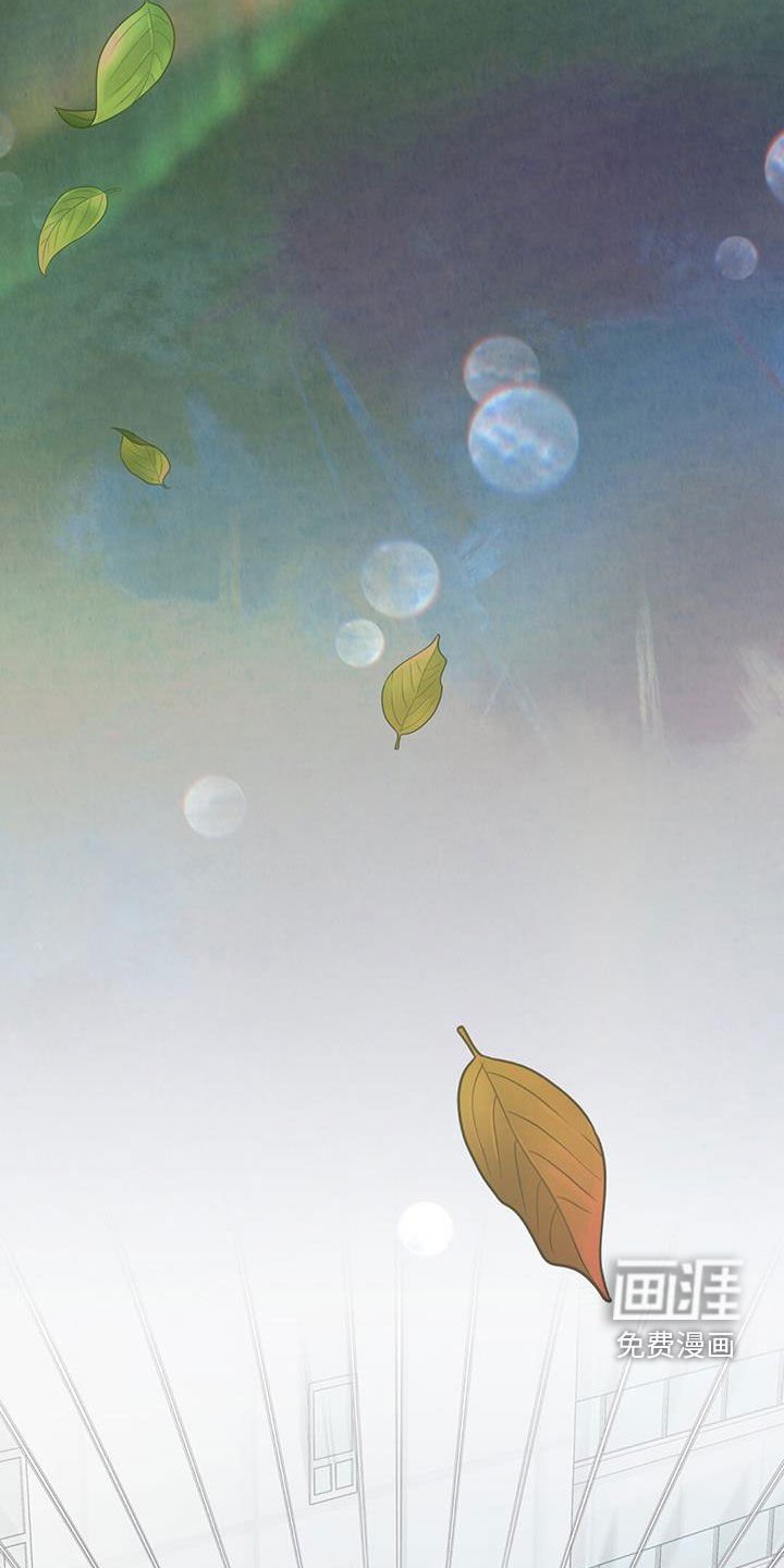 第44章：失踪