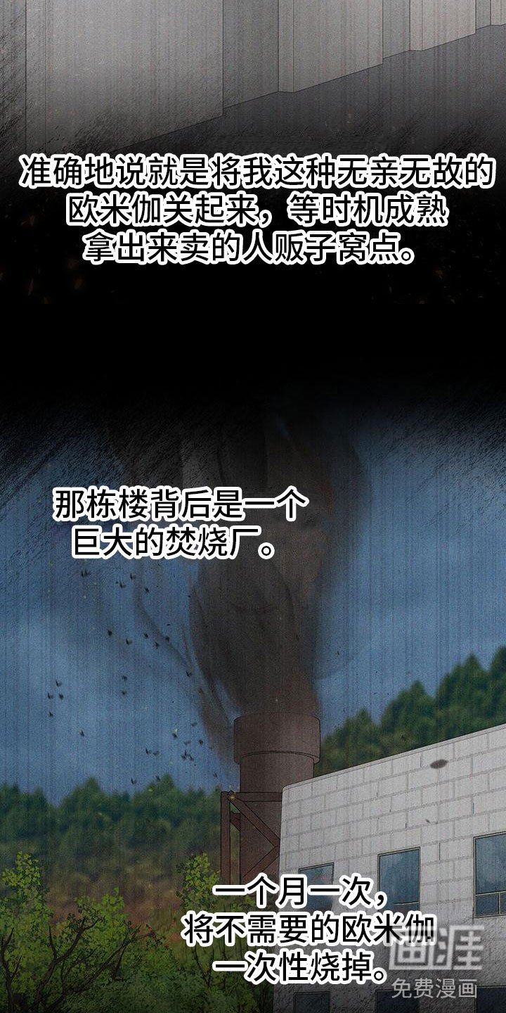 第5章：糟糕的想法