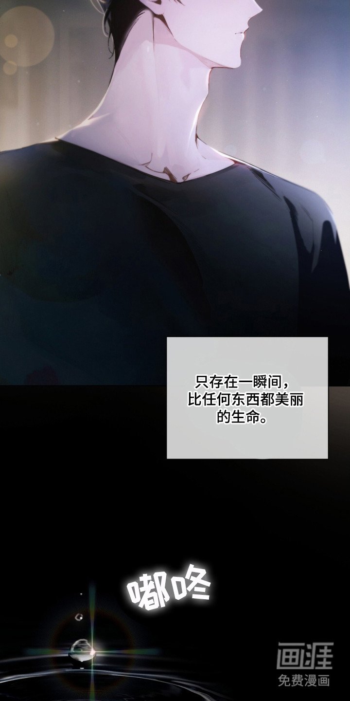 第11章：绝不原谅