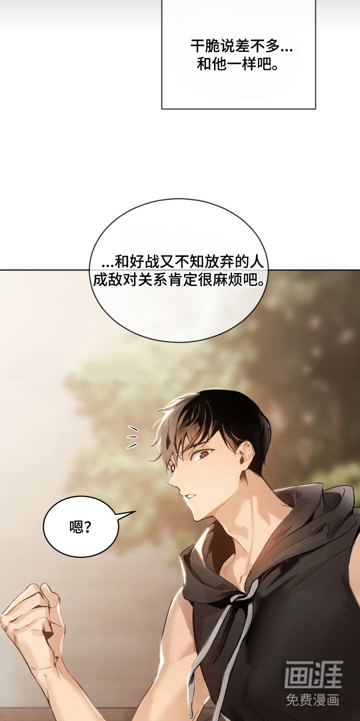 第13章：本质
