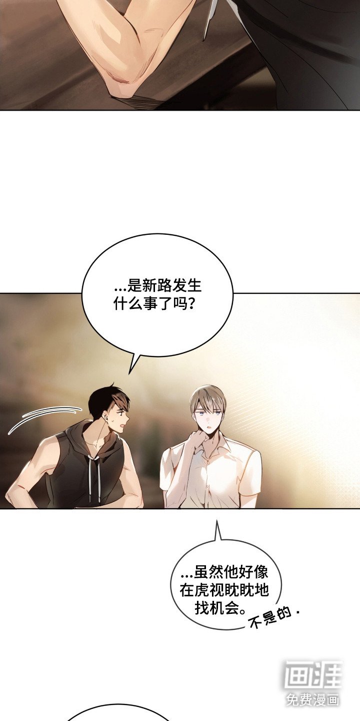 第13章：本质