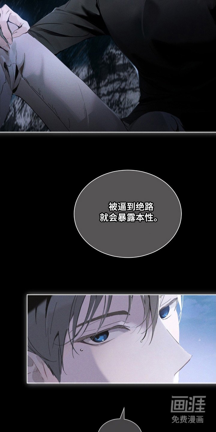 第13章：本质