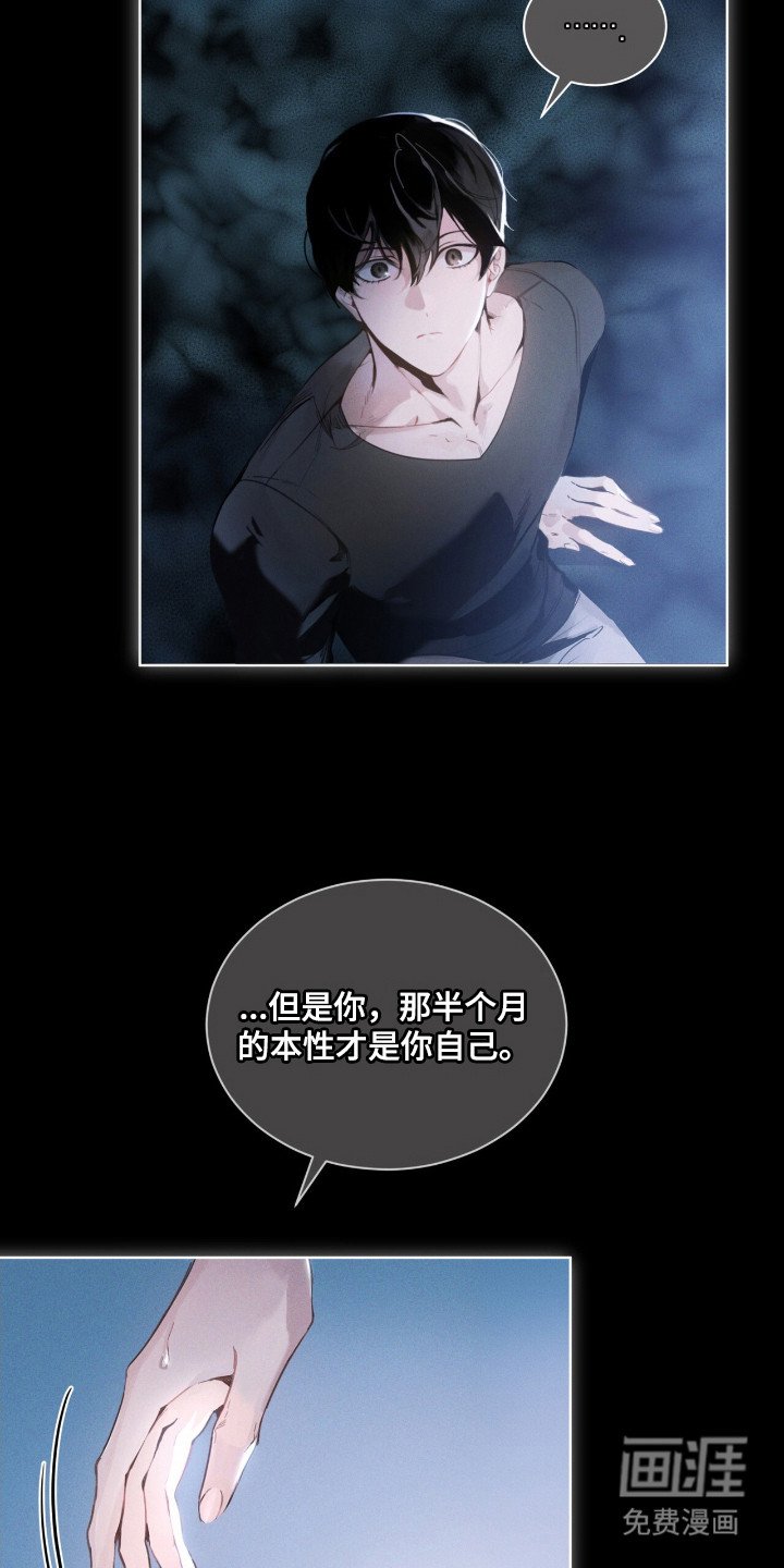 第13章：本质