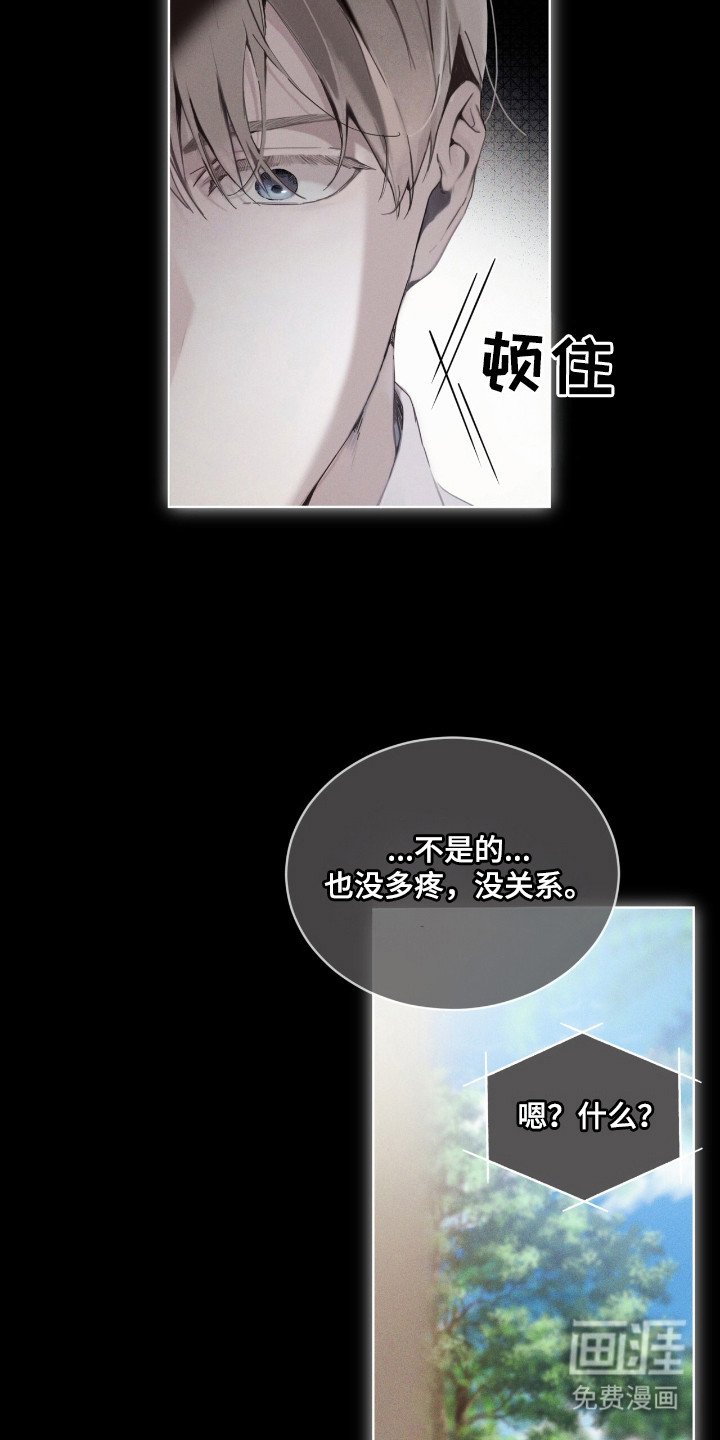 第15章：提前道歉