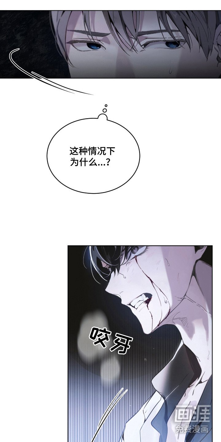 第16章：对峙