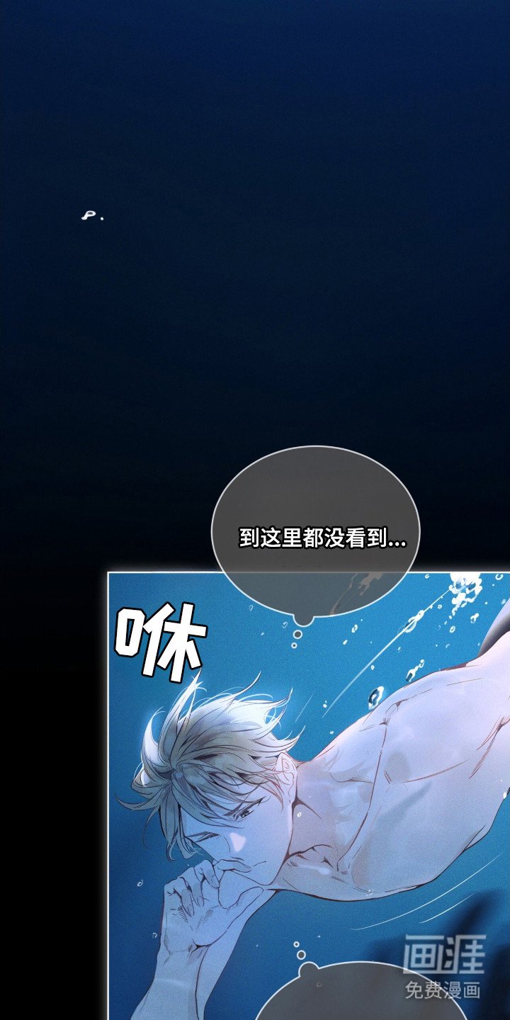 第7章：花一样美丽