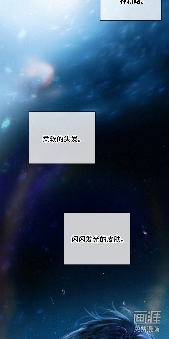 第7章：花一样美丽