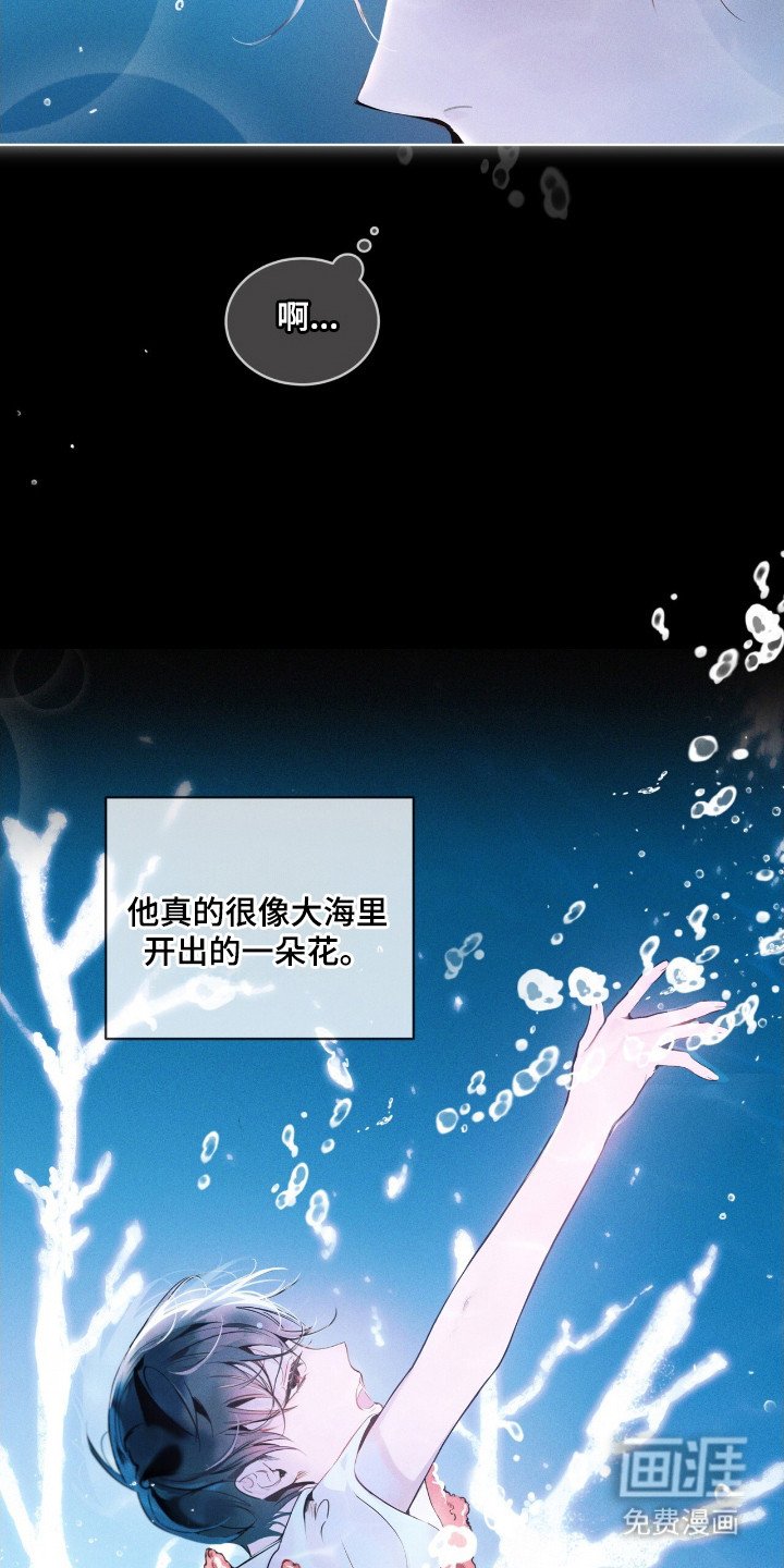 第7章：花一样美丽