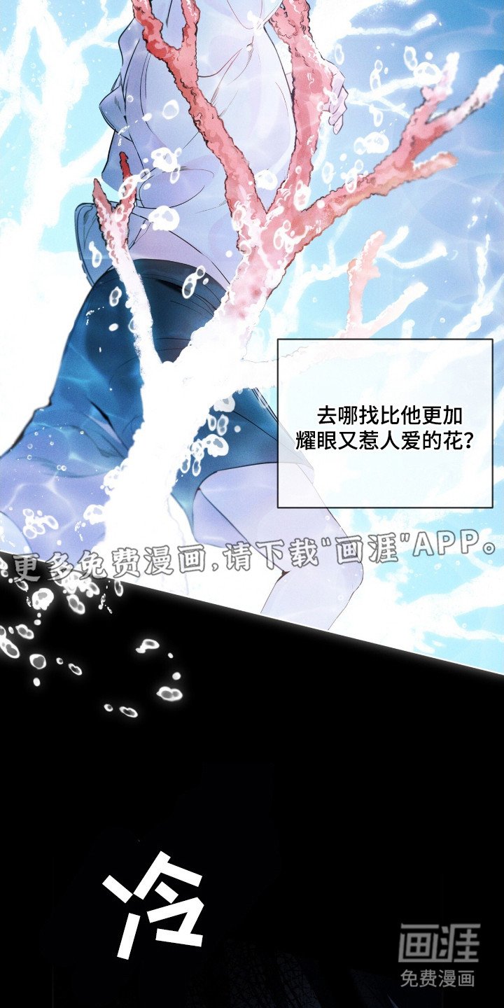 第7章：花一样美丽