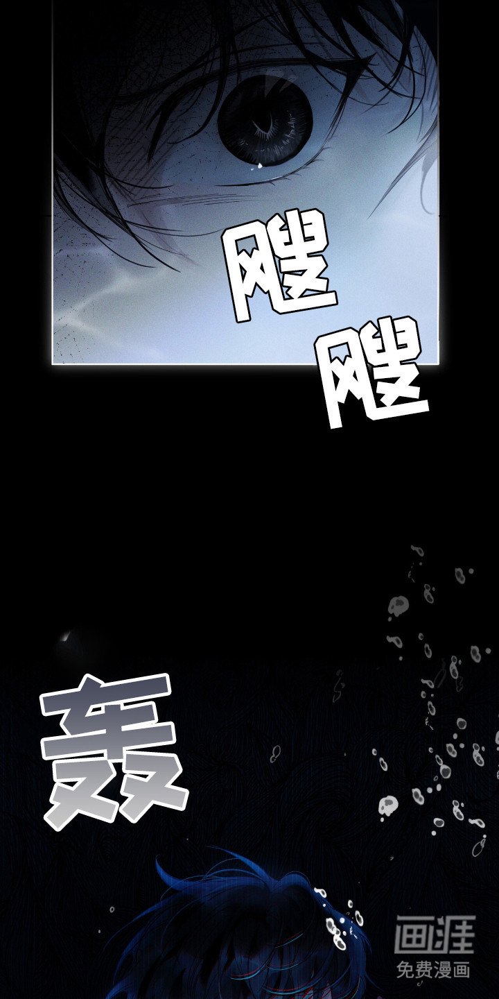 第7章：花一样美丽
