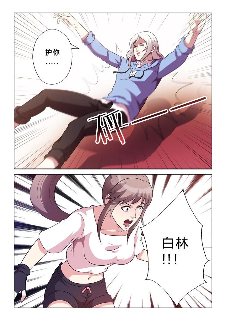 第116章：变强
