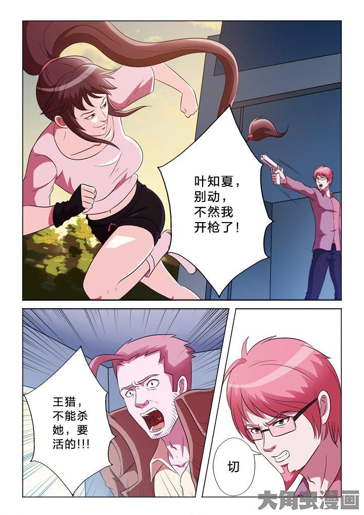 第122章：调虎离山