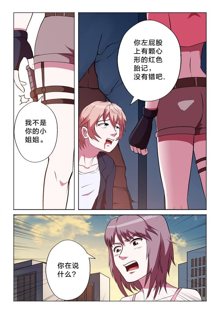 第137章：分析