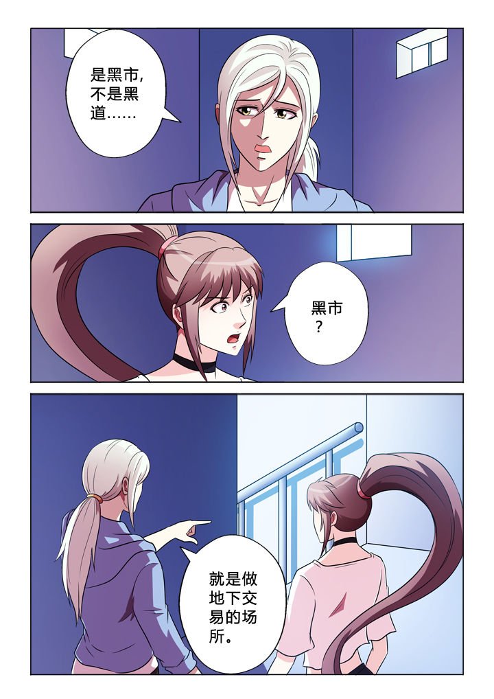 第78章：驾照