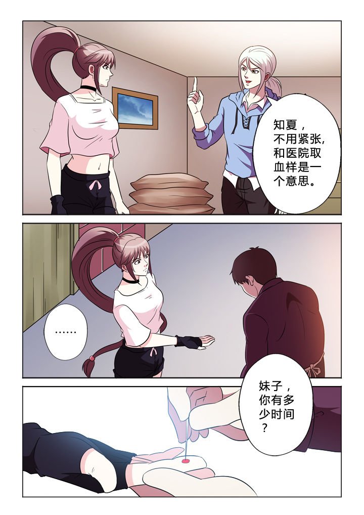 第78章：驾照