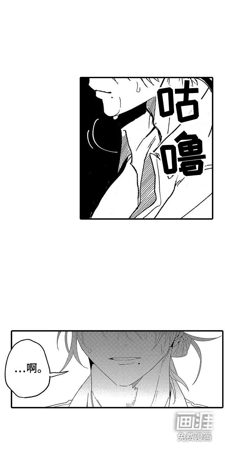 第17章：特别允许 