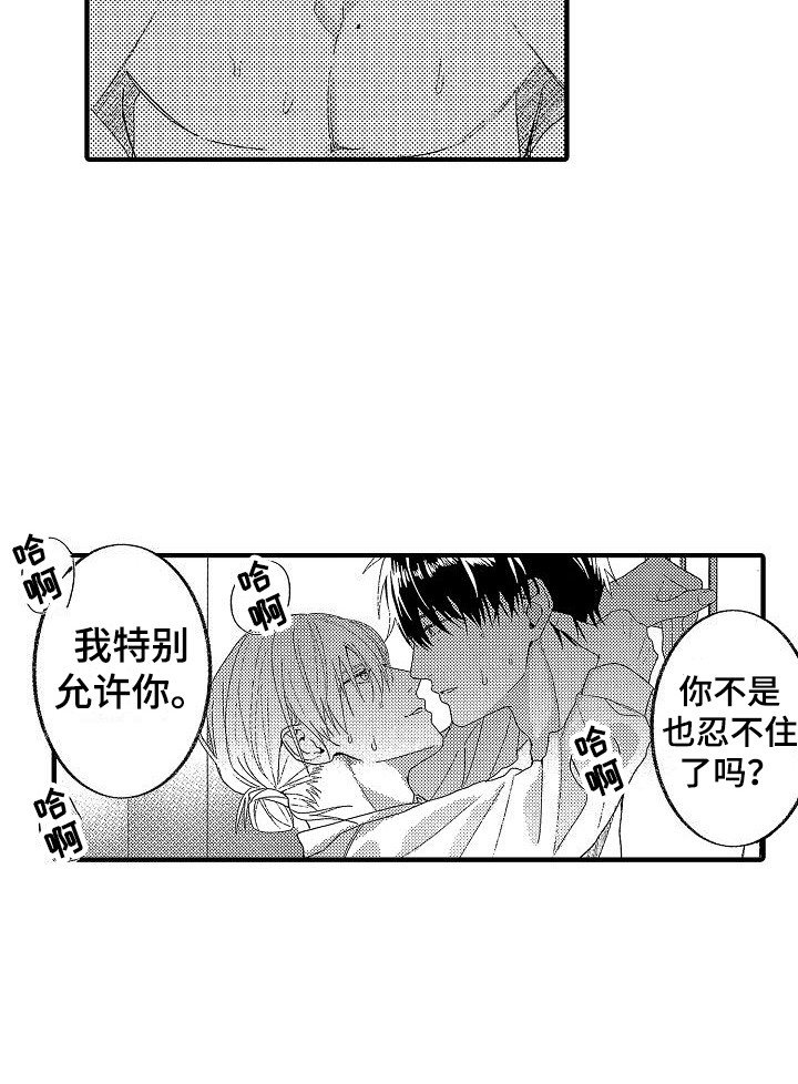 第17章：特别允许 