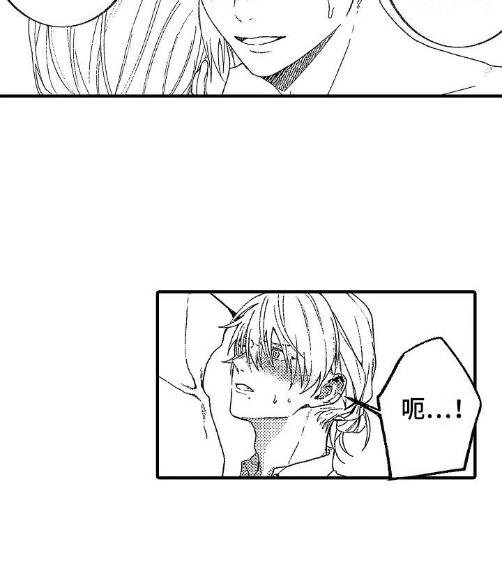 第17章：特别允许 
