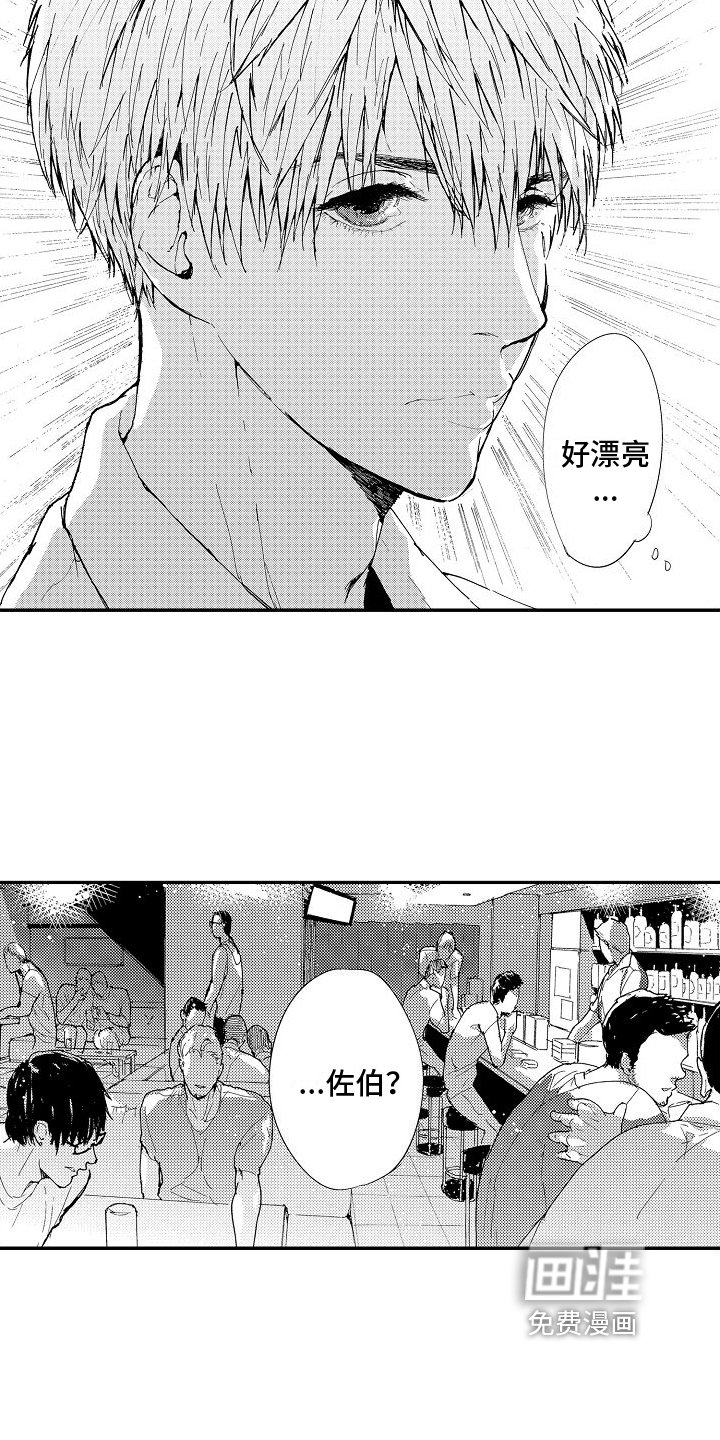 第13章：巧遇