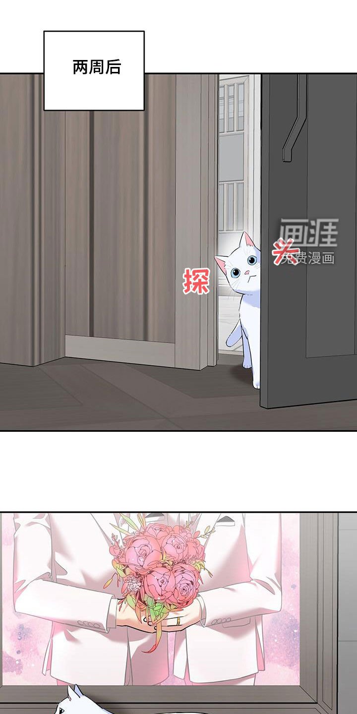 第106章：【第二季完结】我也爱你