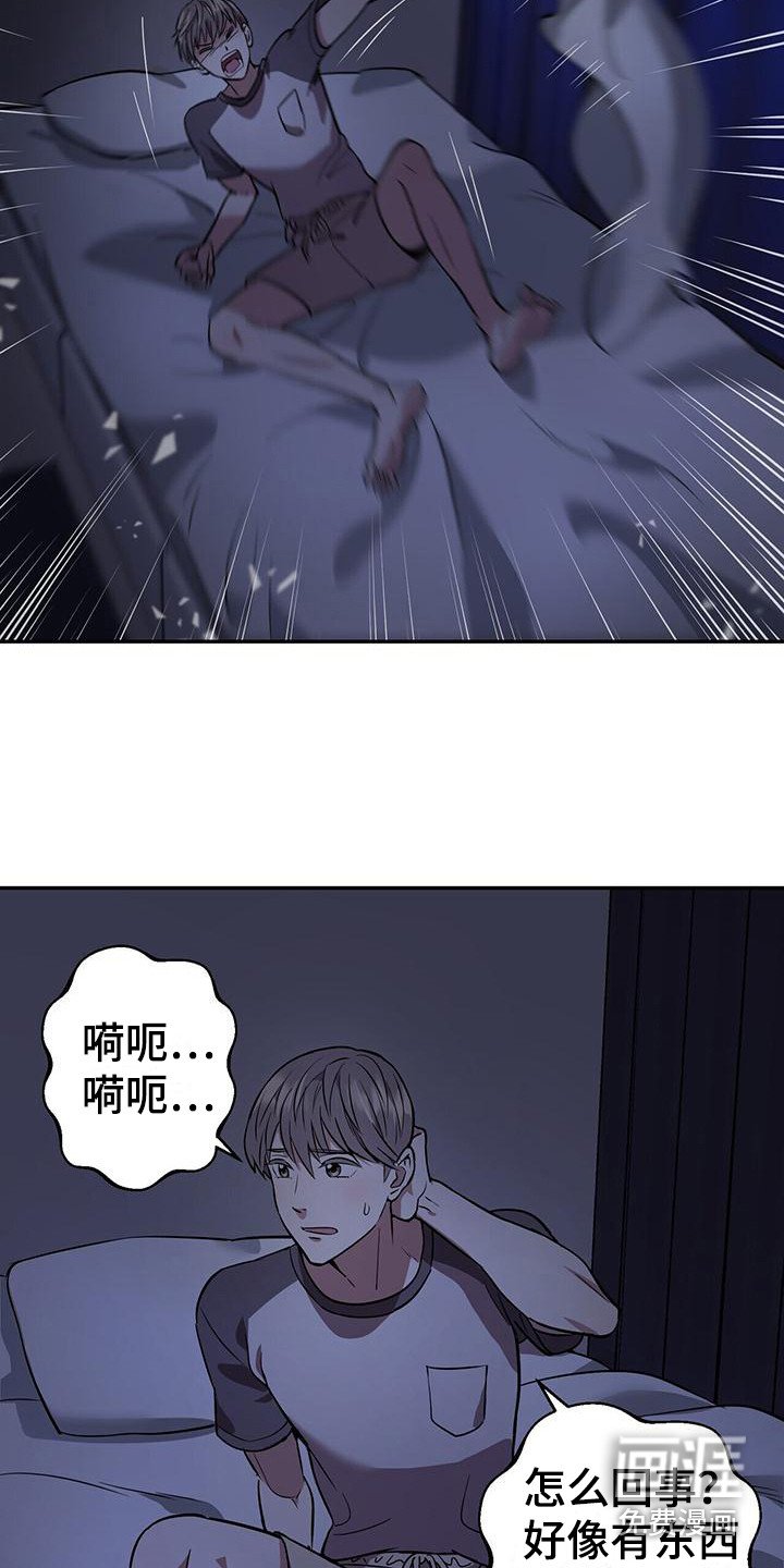 第12章：过于敏感