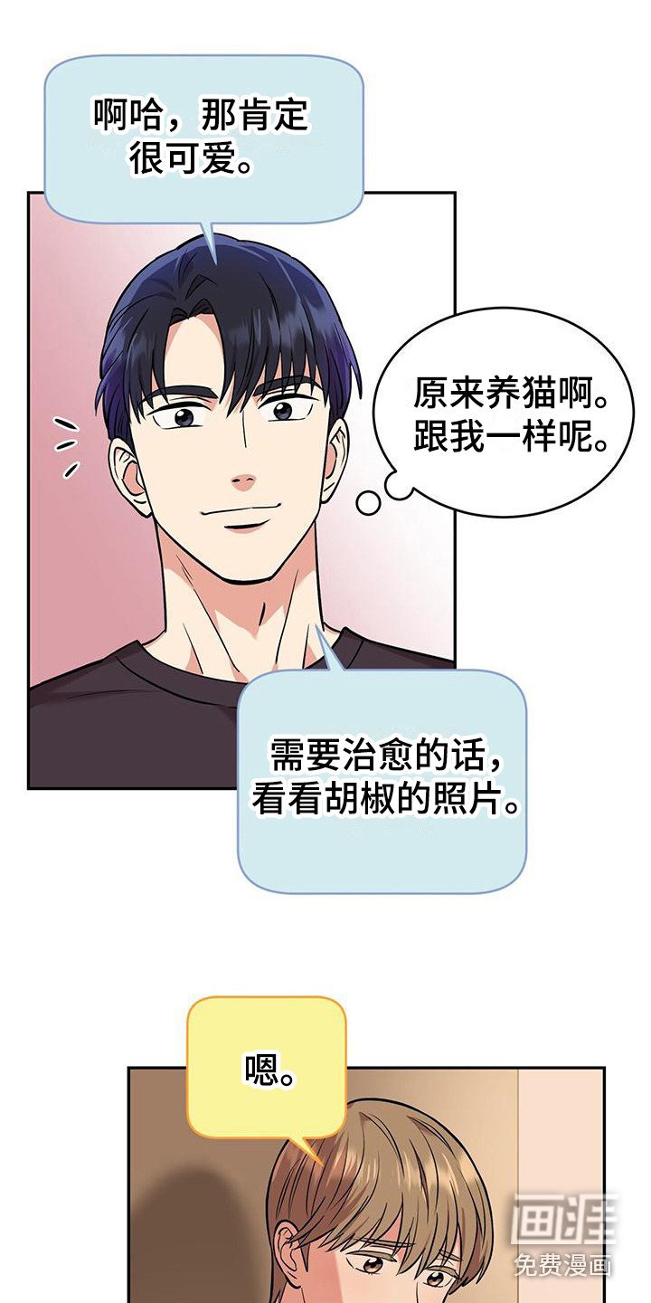 第19章：相互理解