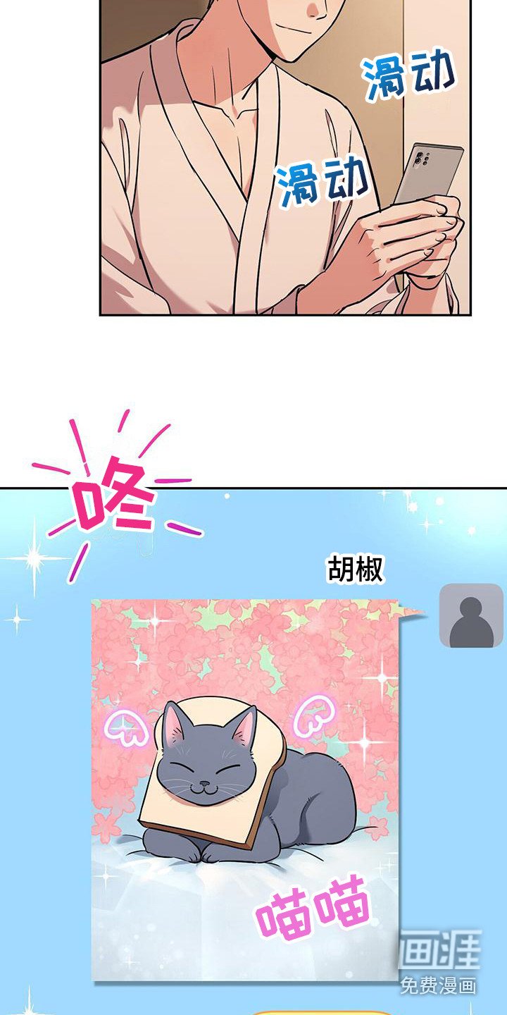 第19章：相互理解