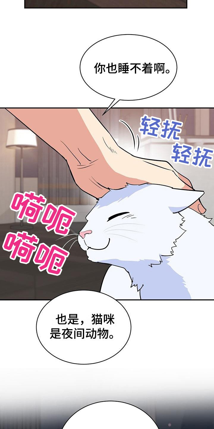 第3章：疑惑