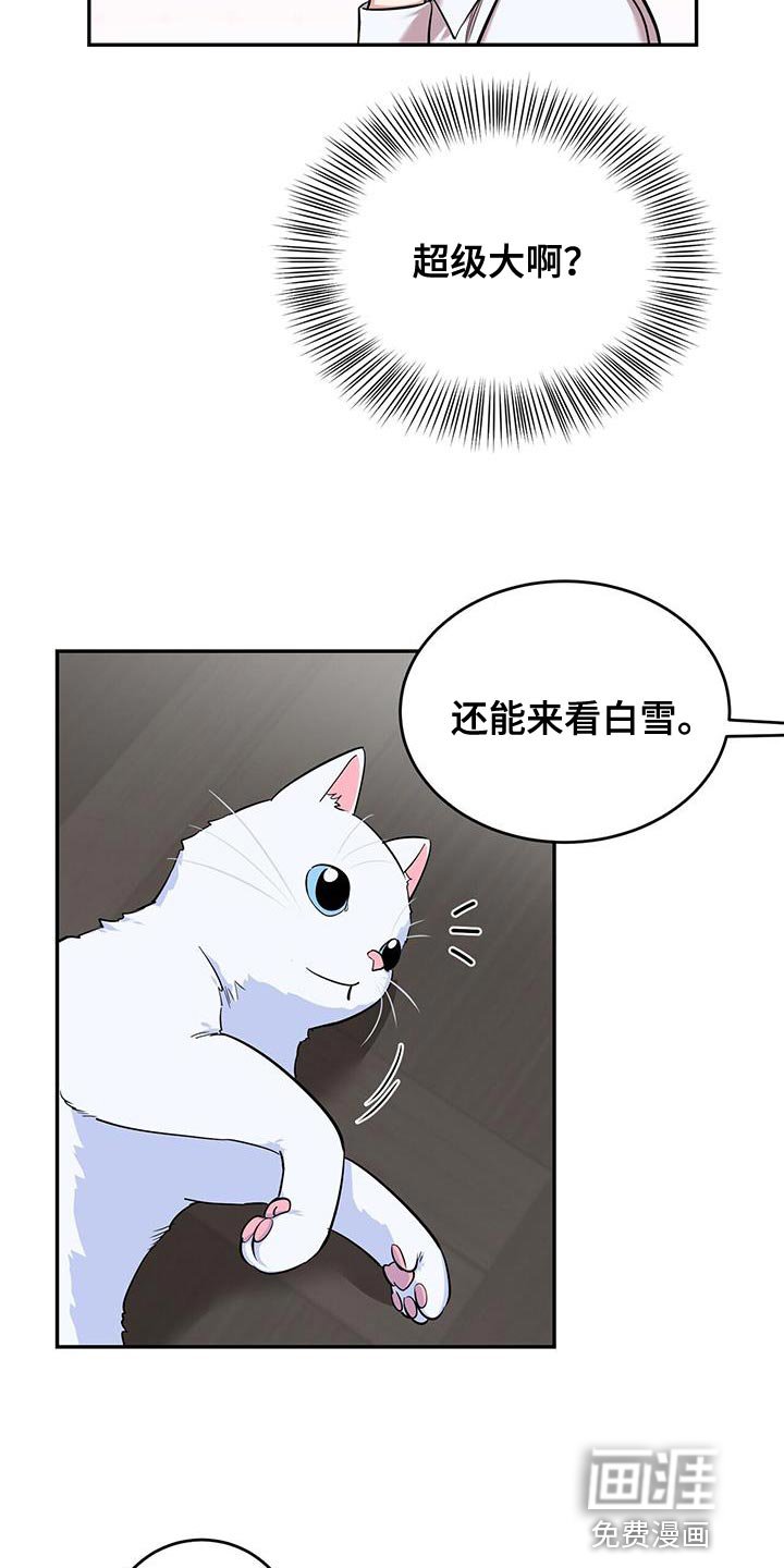 第33章：解决的办法
