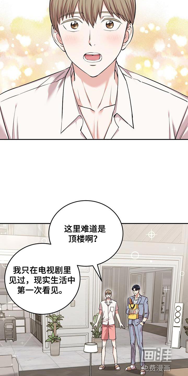 第38章：逗猫