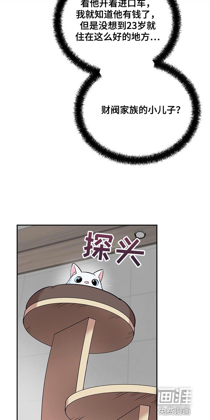 第38章：逗猫