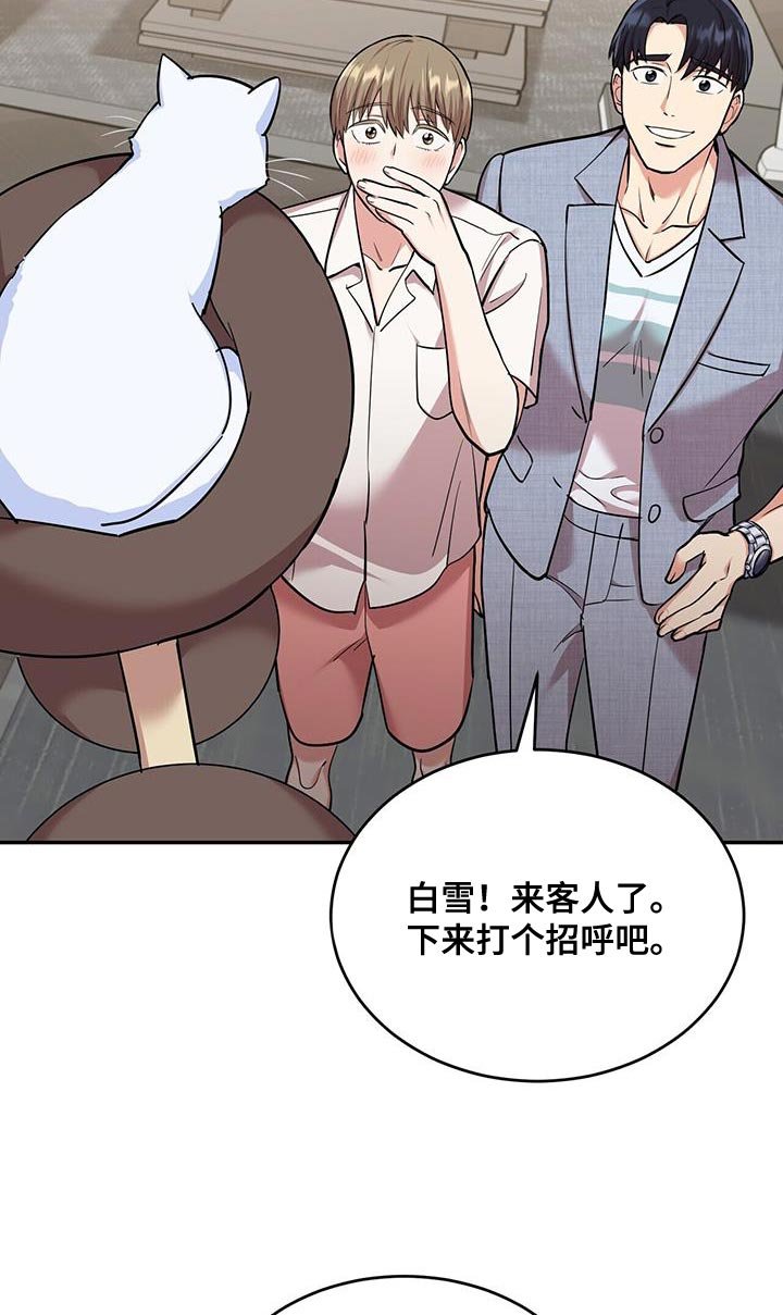 第38章：逗猫