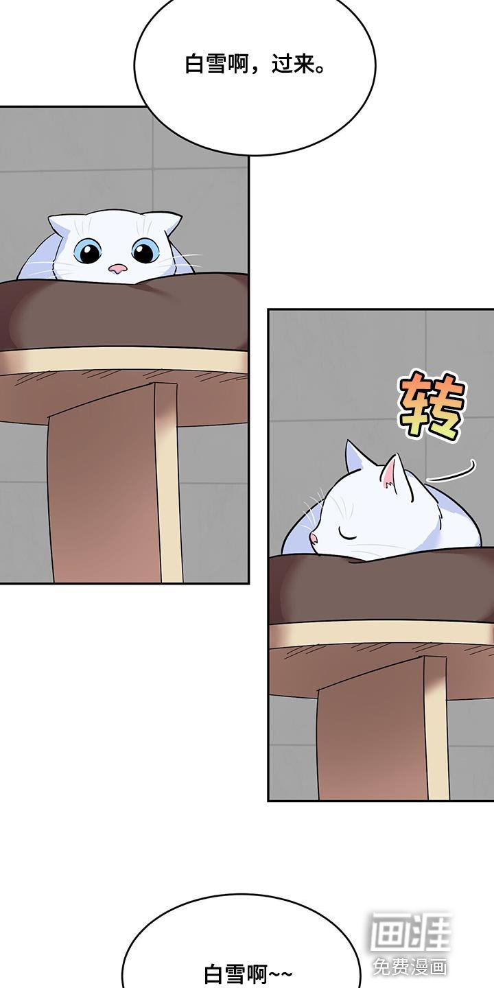 第38章：逗猫