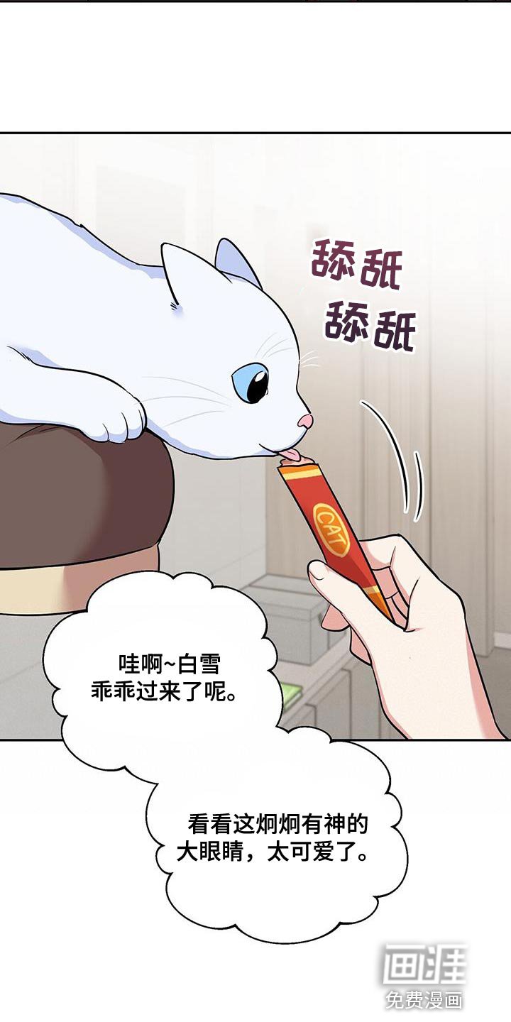 第38章：逗猫