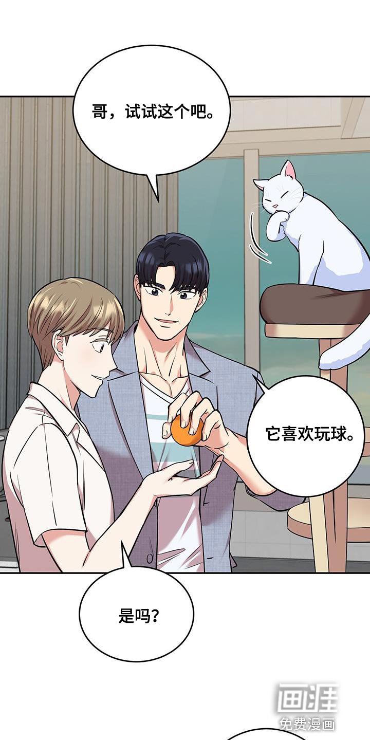 第38章：逗猫