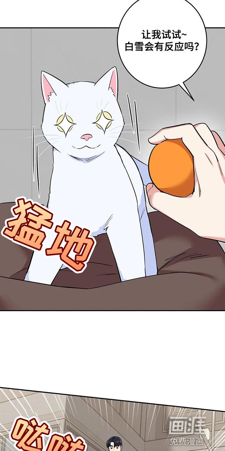 第38章：逗猫